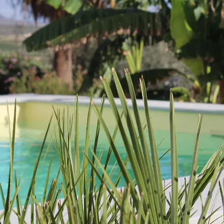 La Fanega Hostel Alora